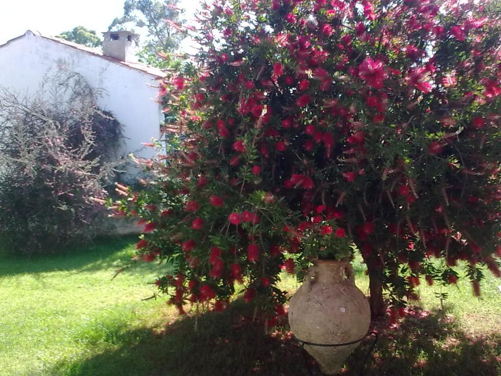 Anna'S Villas By The Sea Preveza Luaran gambar